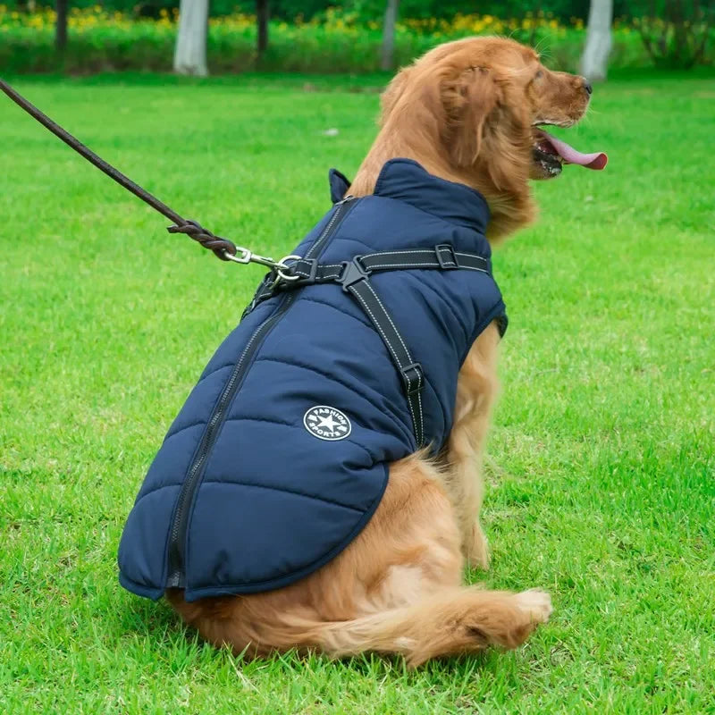 Waterproof Winter Dog Jacket With Harness For Outdoor Use