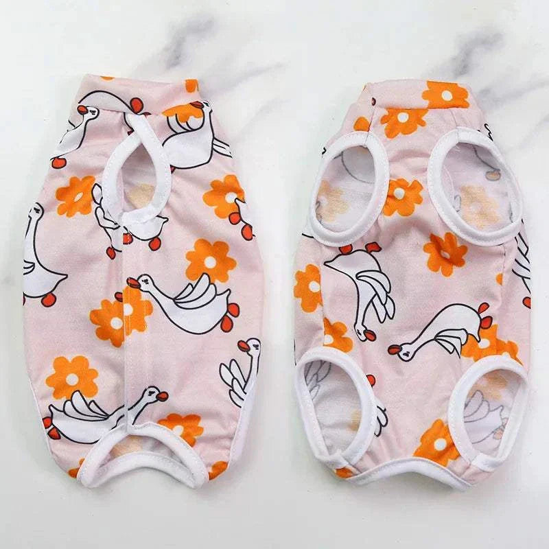 Pet Surgery Recovery Clothes Soft, Safe & Comfortable Healing Wear Now
