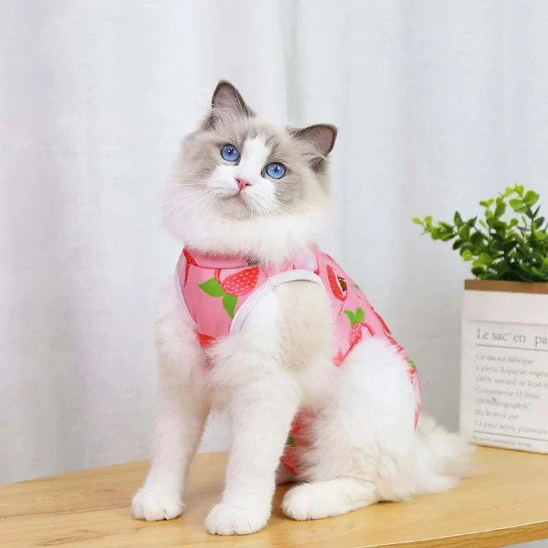 Pet Surgery Recovery Clothes Soft, Safe & Comfortable Healing Wear Now