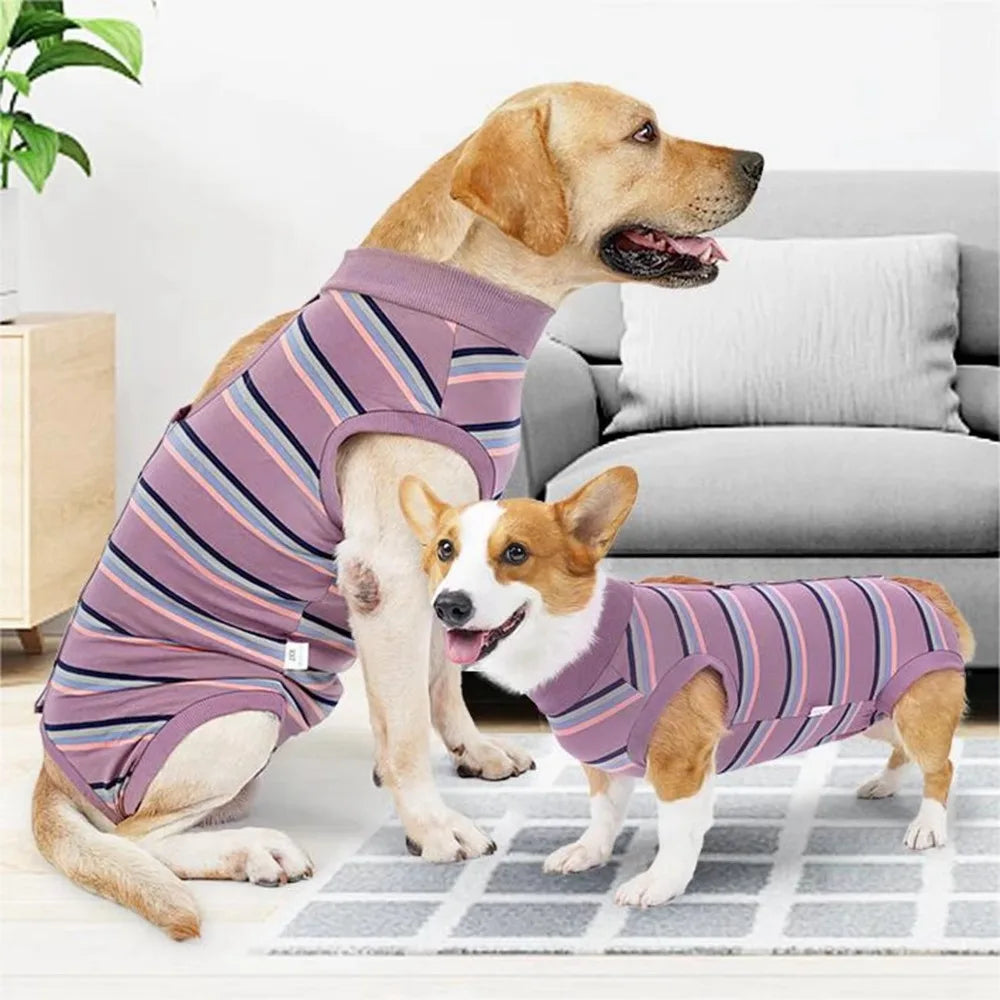 CN Zhejiang Breathable Dog Postoperative Recovery Suit
