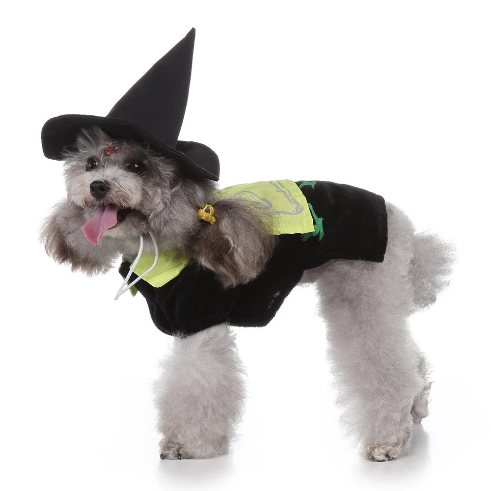 Hign-concerned Chemical Pet Cosplay Pirate Sorcerer Costume