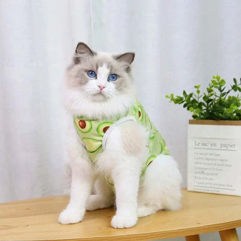 Pet Surgery Recovery Clothes Soft, Safe & Comfortable Healing Wear Now