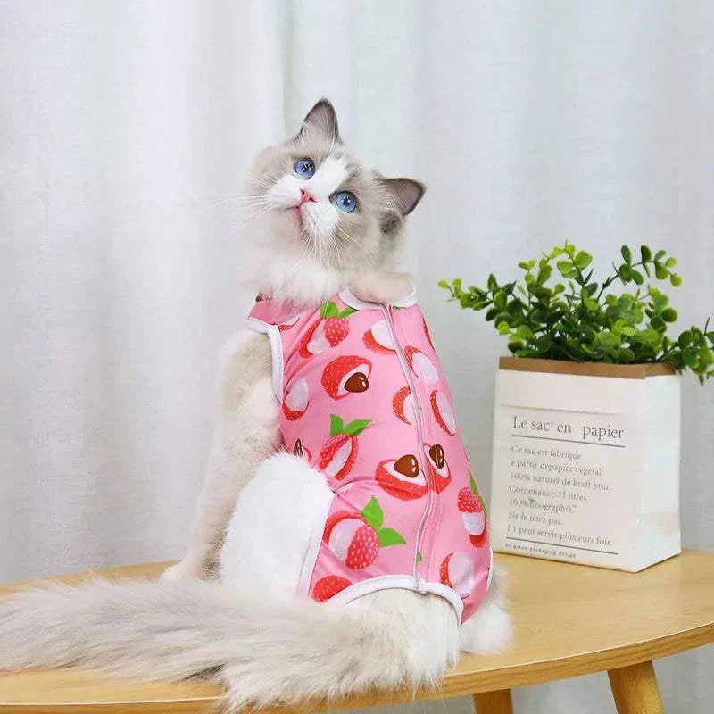 Pet Surgery Recovery Clothes Soft, Safe & Comfortable Healing Wear Now