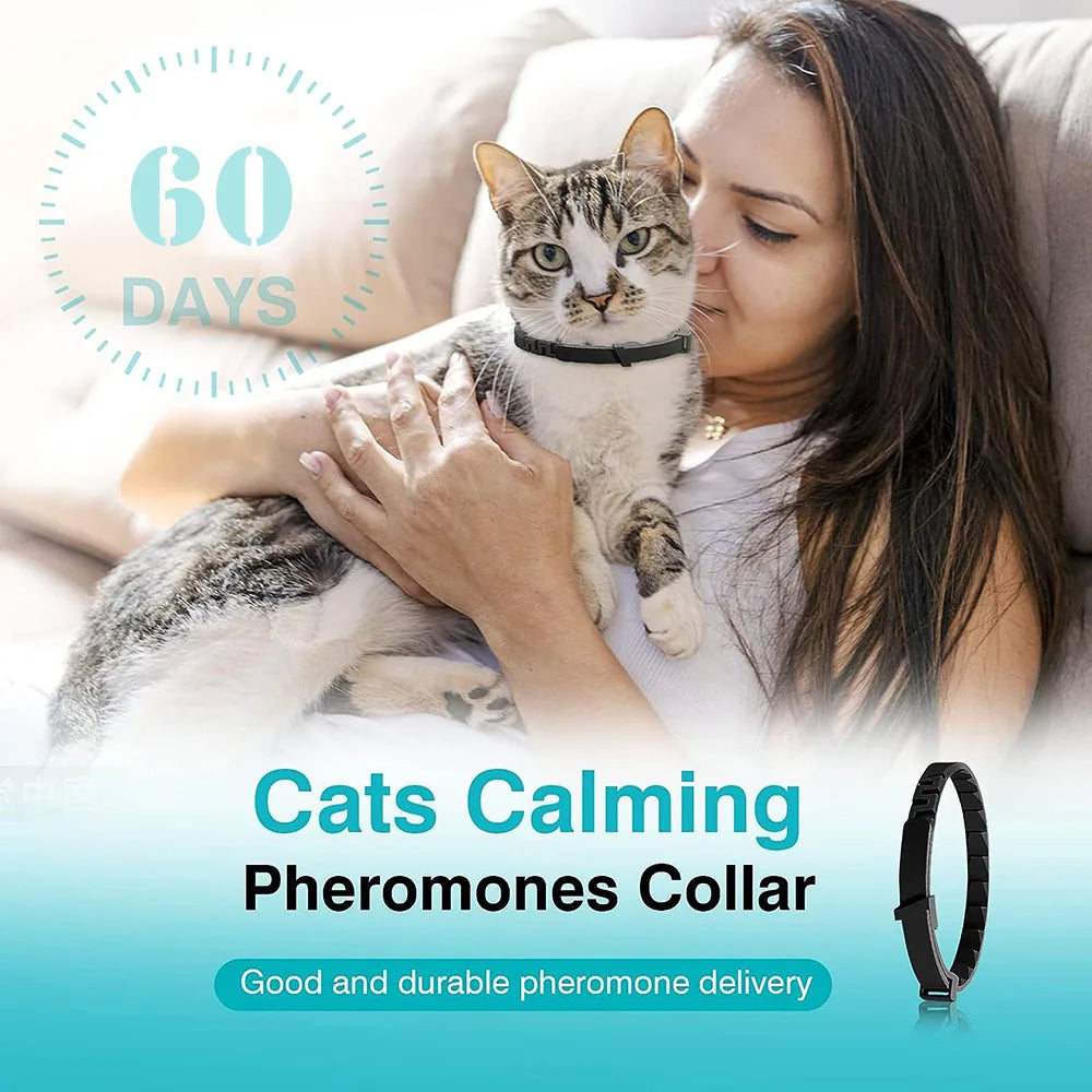 Decoration Pet Calming Collar for Cats and Dogs Breakaway