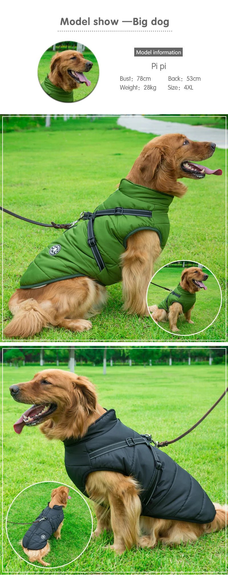 Waterproof Winter Dog Jacket With Harness For Outdoor Use