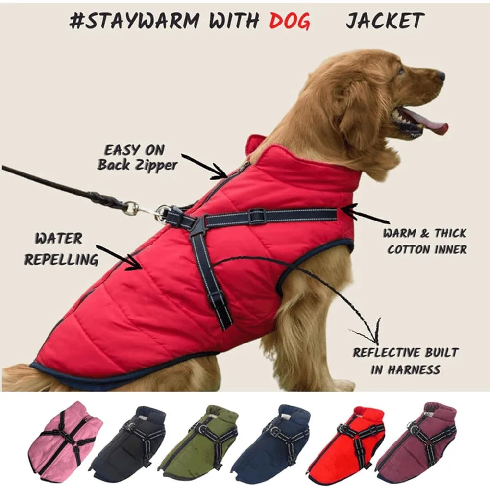 Waterproof Winter Dog Jacket With Harness For Outdoor Use