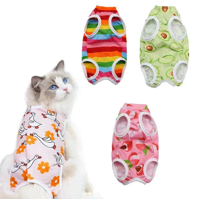 Pet Surgery Recovery Clothes Soft, Safe & Comfortable Healing Wear Now