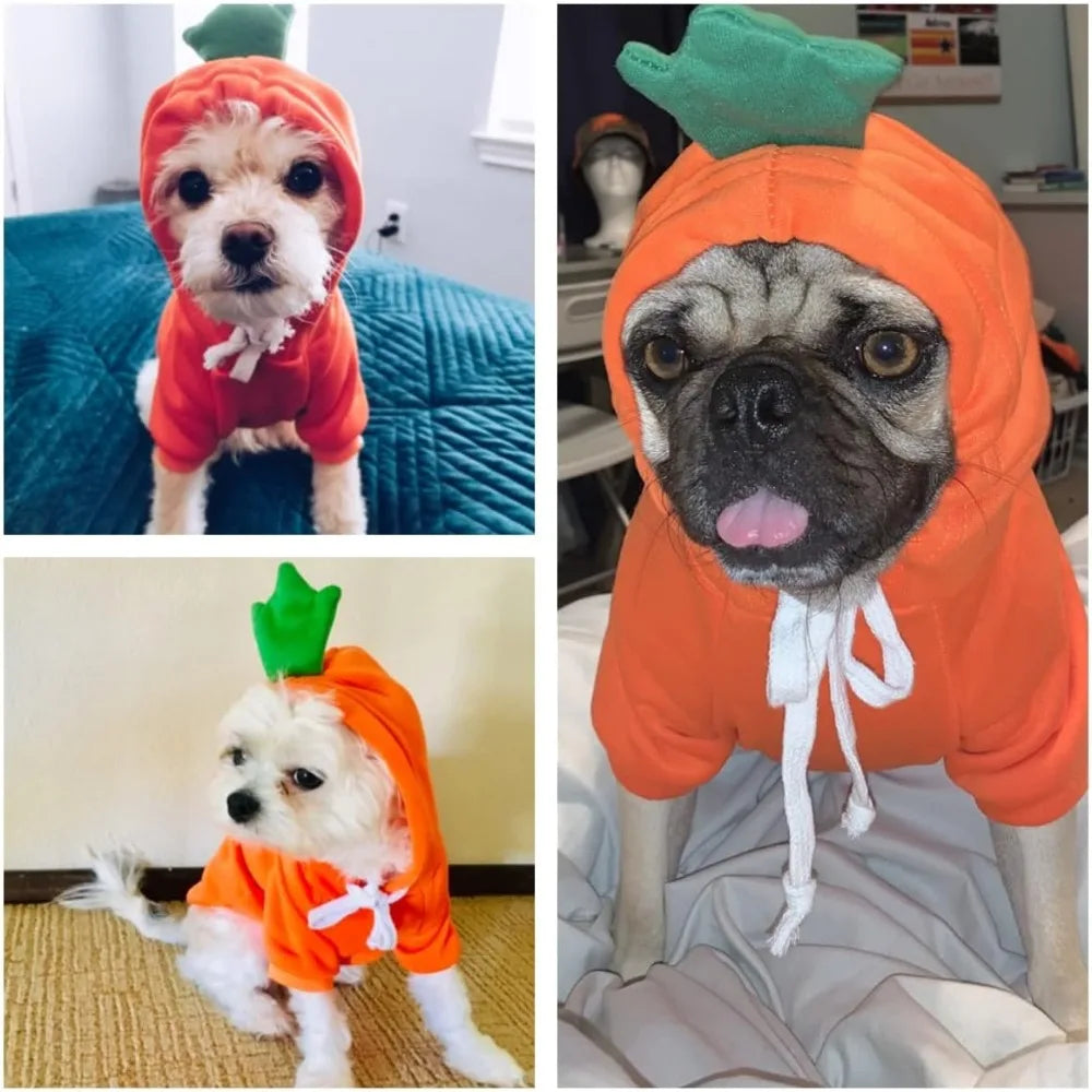 Dog Christmas Halloween Costumes For Small Dogs And Cats