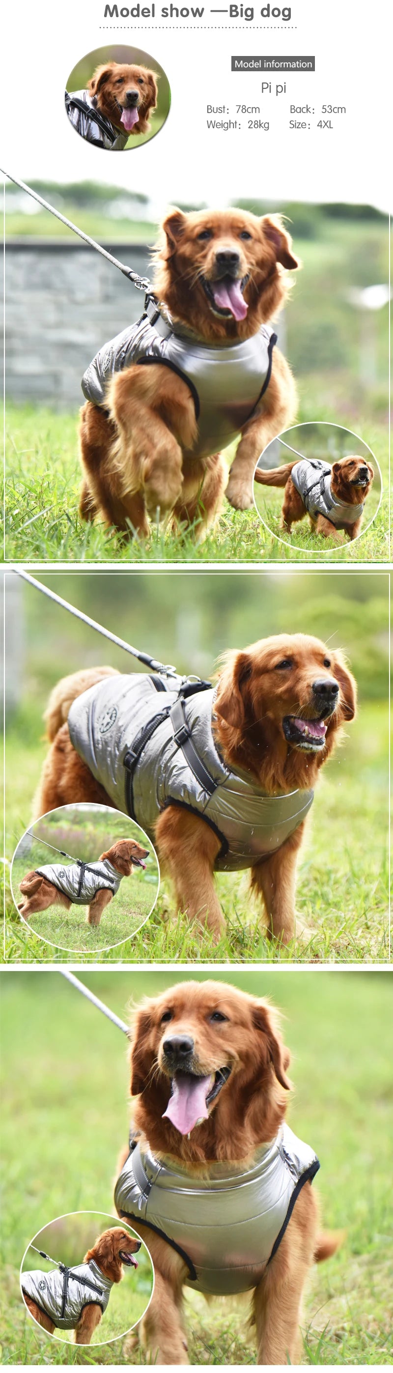 Waterproof Winter Dog Jacket With Harness For Outdoor Use