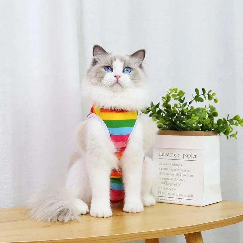 Pet Surgery Recovery Clothes Soft, Safe & Comfortable Healing Wear Now