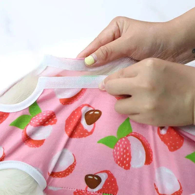 Pet Surgery Recovery Clothes Soft, Safe & Comfortable Healing Wear Now