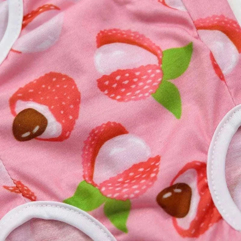 Pet Surgery Recovery Clothes Soft, Safe & Comfortable Healing Wear Now