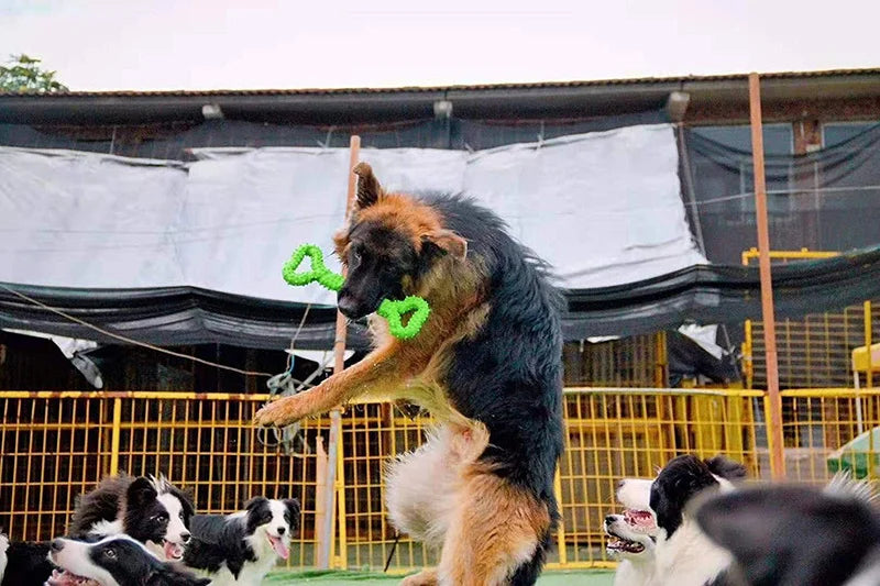 Pet Toys, Dog Toys, Durable Chew Sticks, Chew Bones, Golden Retriever, Border Collie, Labrador, Large Dog Boredom-Relief Toys