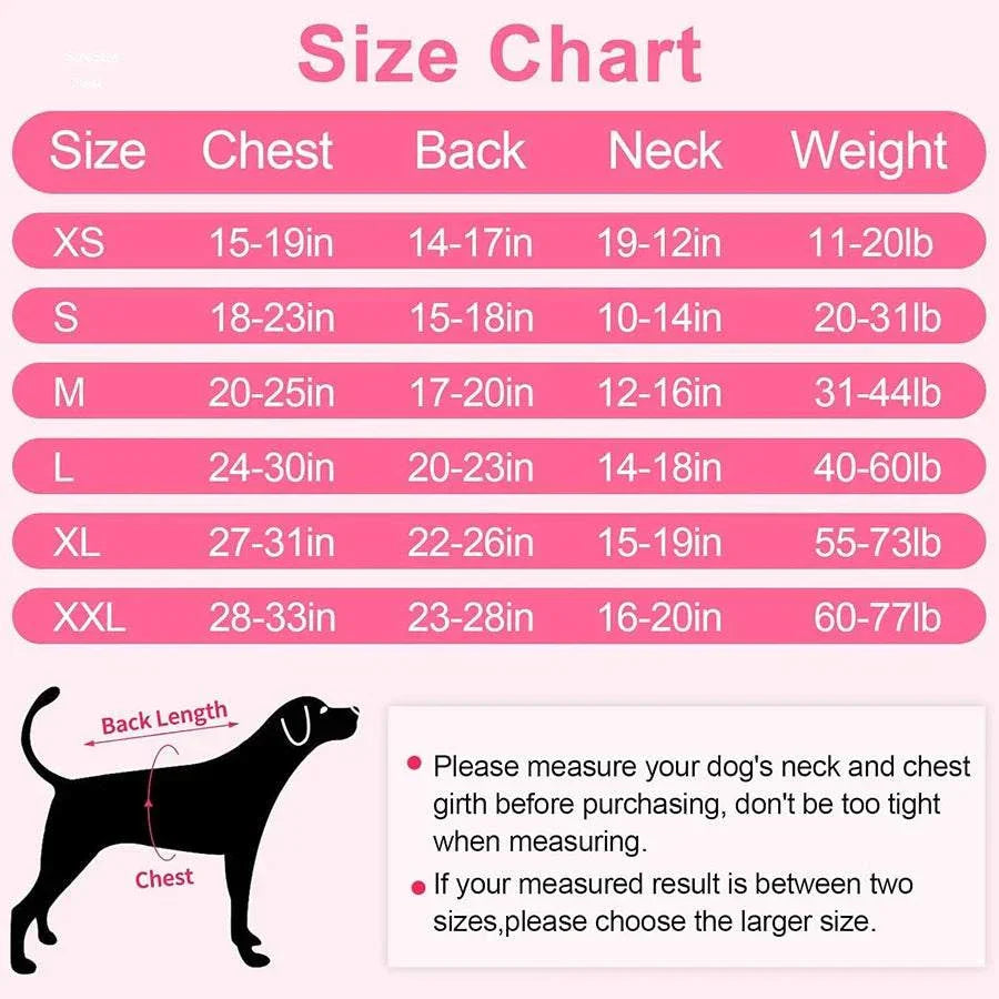 Post-Spay or Neuter Care: Recovery Tips for a Smooth Healing Guide 101