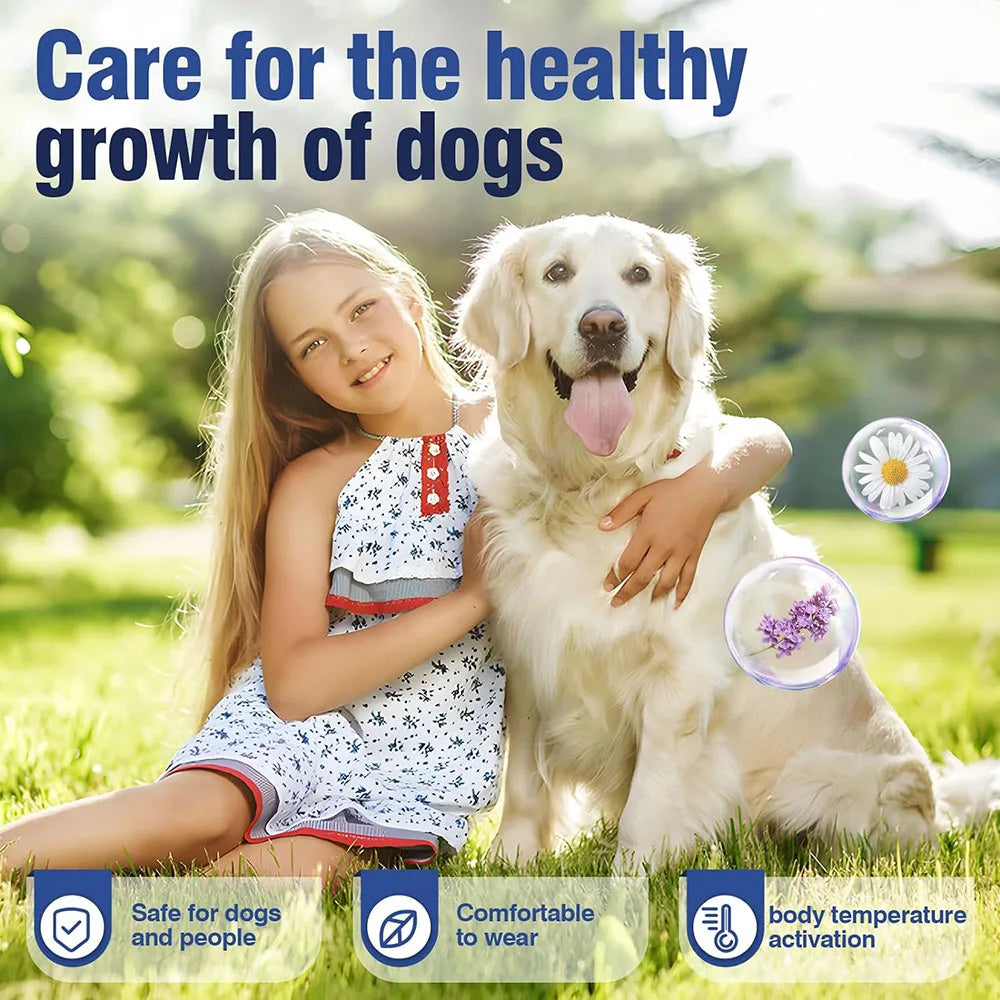 Zhejiang Dog Calming Pheromone Collar For Dogs And Cats