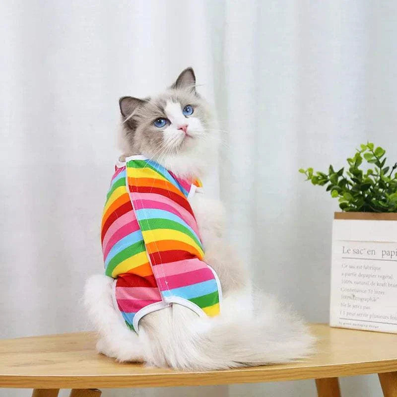 Pet Surgery Recovery Clothes Soft, Safe & Comfortable Healing Wear Now
