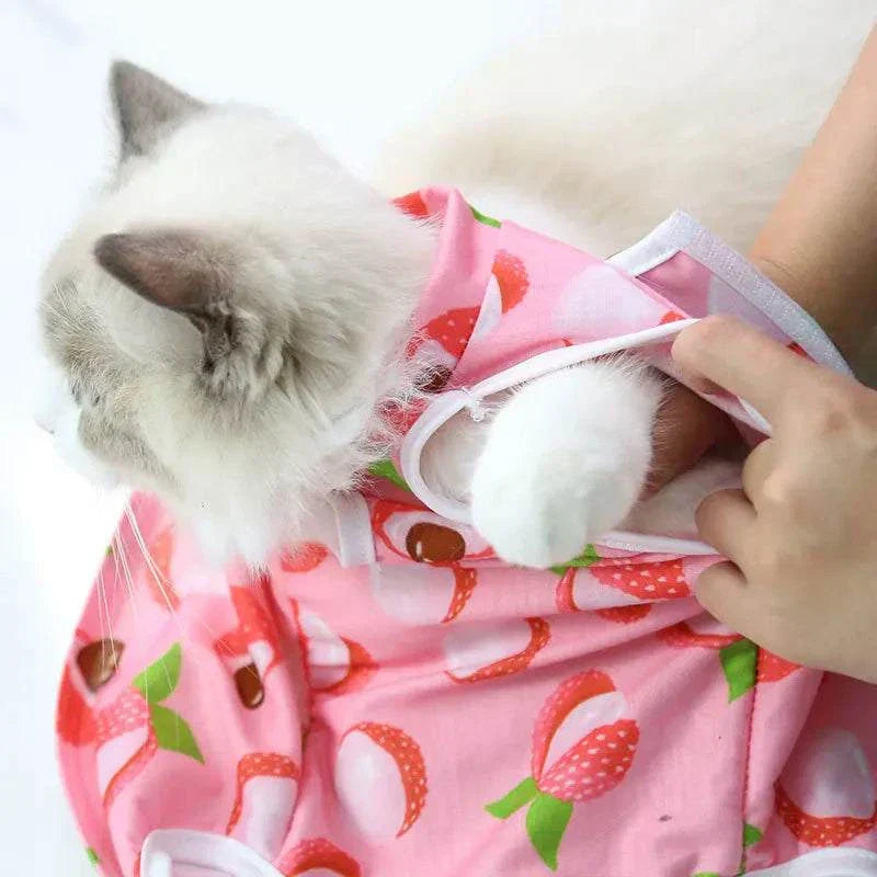 Pet Surgery Recovery Clothes Soft, Safe & Comfortable Healing Wear Now