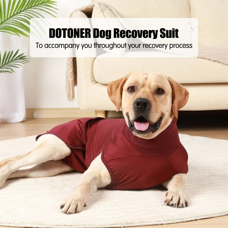 Recovery Suit For Dogs And Cats After Surgery Pet Shirt