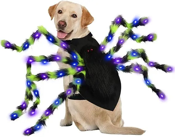Big Dog Halloween Spider Costume With 64 LED Lights Large Dogs
