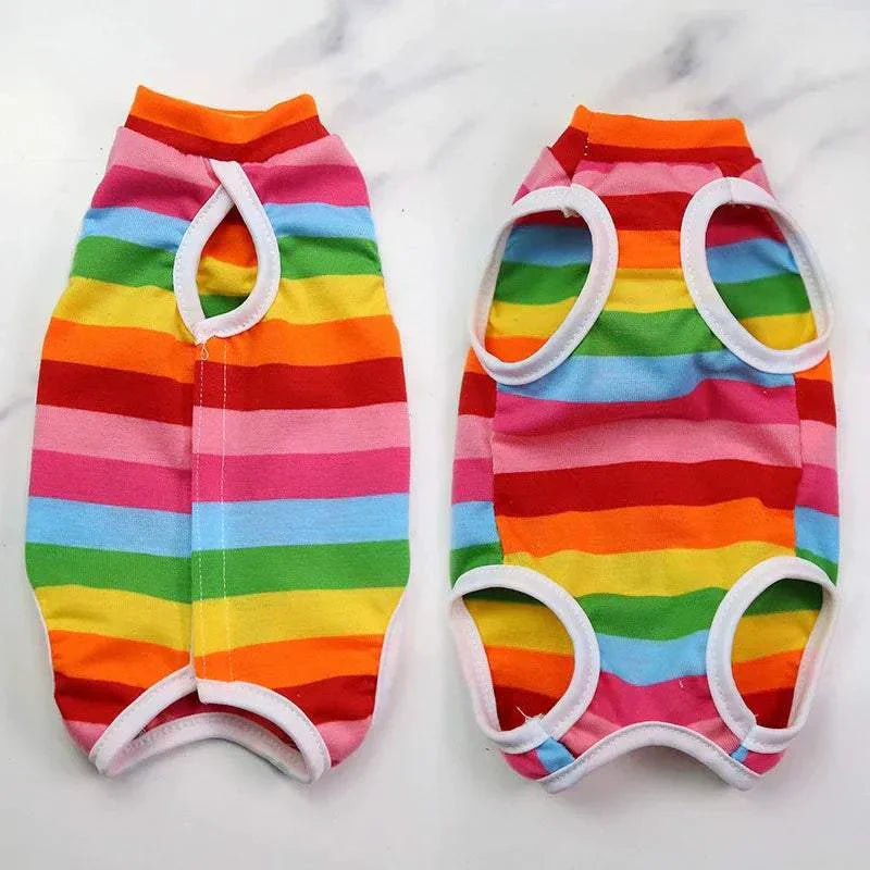 Pet Surgery Recovery Clothes Soft, Safe & Comfortable Healing Wear Now