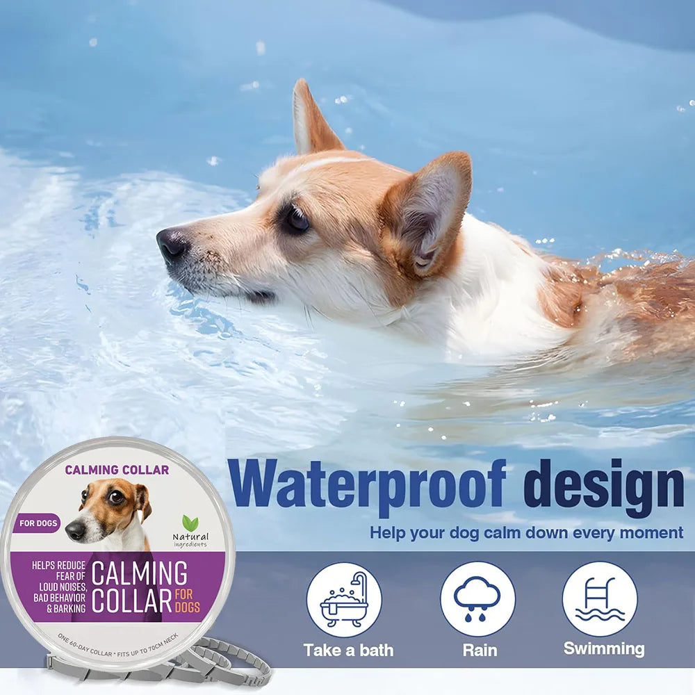 Zhejiang Dog Calming Pheromone Collar For Dogs And Cats