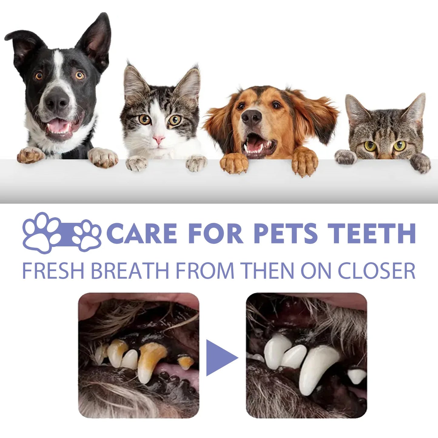 YEGBONG Pet Oral Cleanse Spray for Dogs Teeth Whitening