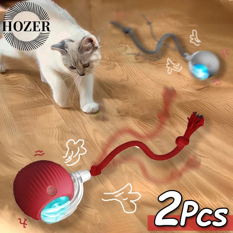 Cat Interactive Ball Toys Dual Pack Auto Rolling Rechargeable Toy