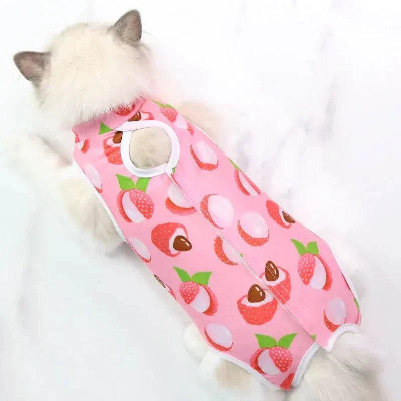 Pet Surgery Recovery Clothes Soft, Safe & Comfortable Healing Wear Now