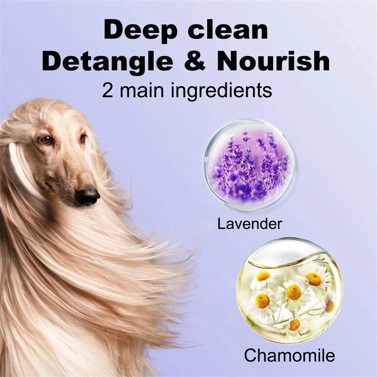 Four In One Calming Dog Shampoo Lavender Chamomile For Dogs