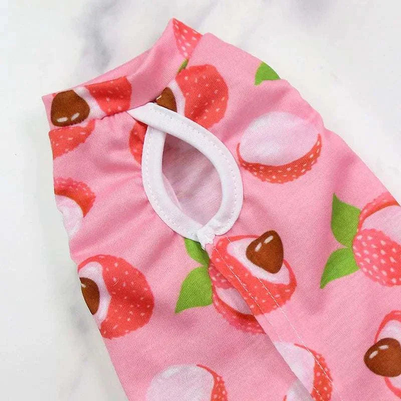 Pet Surgery Recovery Clothes Soft, Safe & Comfortable Healing Wear Now