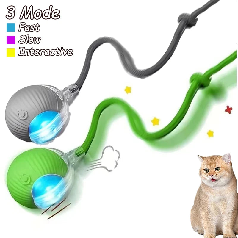 Cat Interactive Ball Toys Dual Pack Auto Rolling Rechargeable Toy