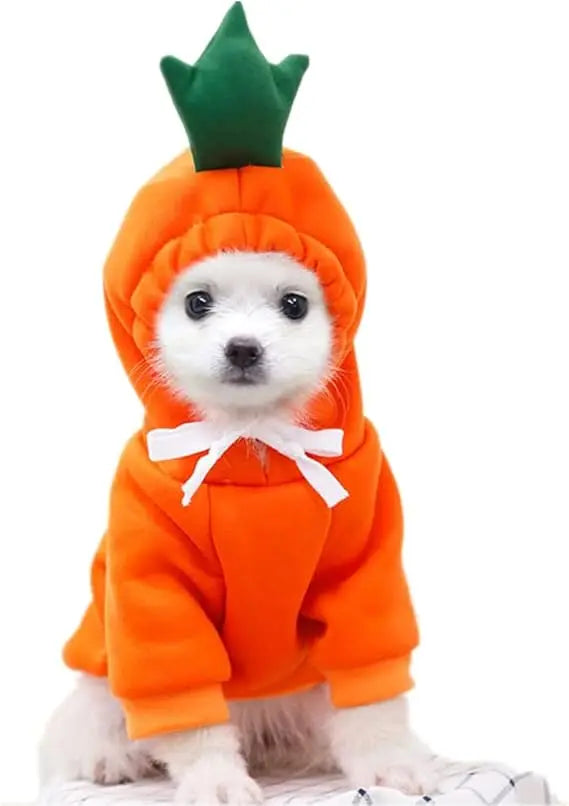 Dog Christmas Halloween Costumes For Small Dogs And Cats