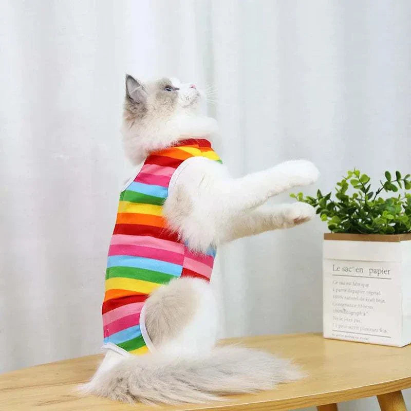 Pet Surgery Recovery Clothes Soft, Safe & Comfortable Healing Wear Now