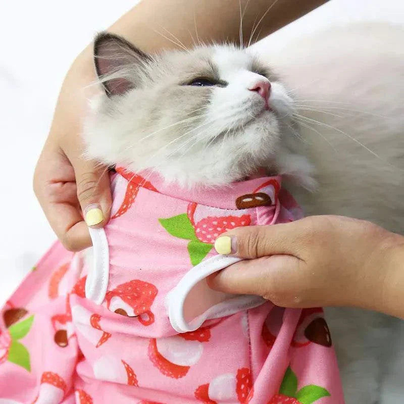 Pet Surgery Recovery Clothes Soft, Safe & Comfortable Healing Wear Now
