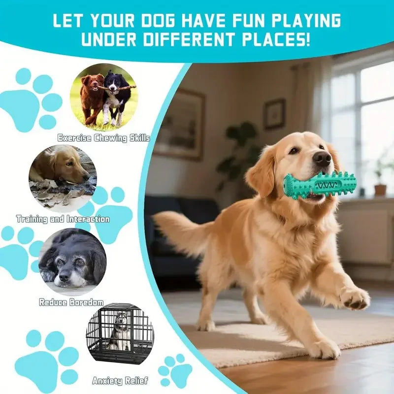 Choice Vet Approved Dental Chew for Small and Medium Dogs