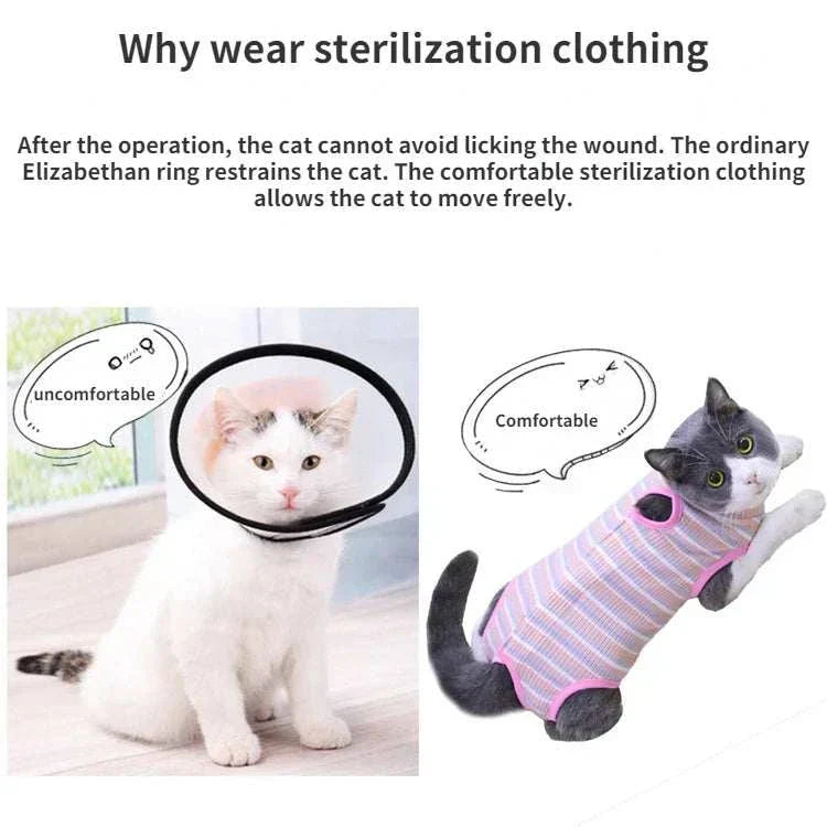 Pet Surgery Recovery Clothes Soft, Safe & Comfortable Healing Wear Now