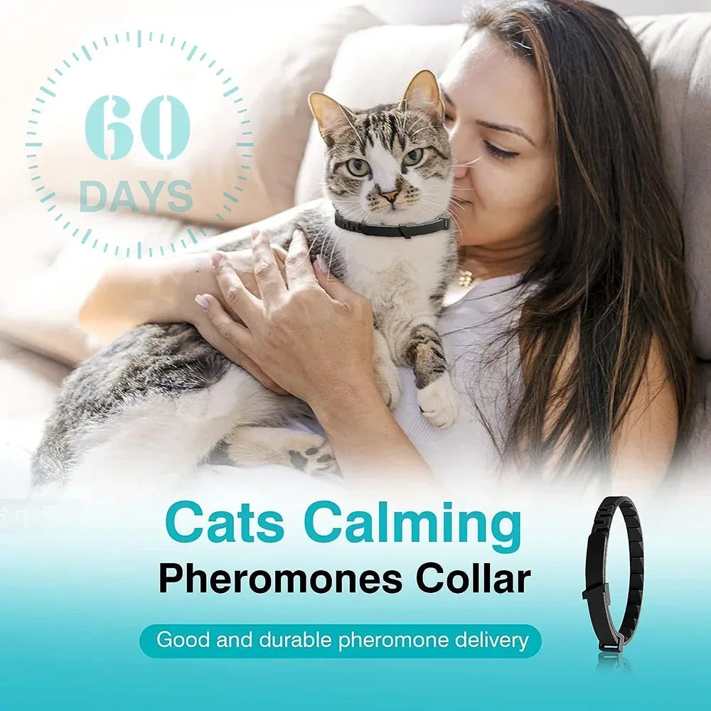 Decoration Pet Calming Collar for Cats and Dogs Breakaway