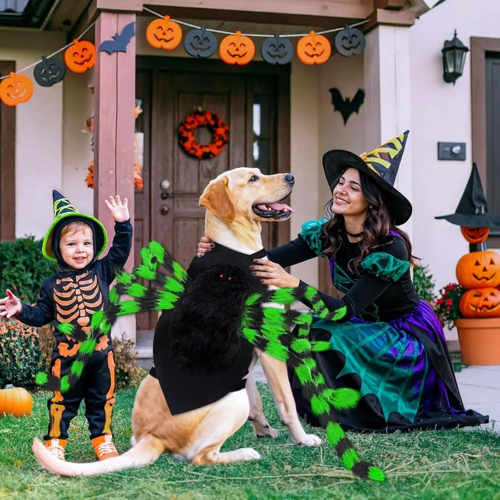 Big Dog Halloween Spider Costume With 64 LED Lights Large Dogs