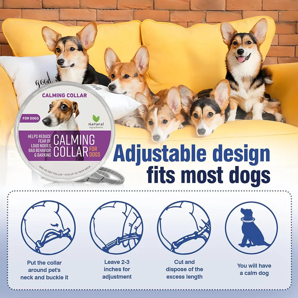 Zhejiang Dog Calming Pheromone Collar For Dogs And Cats