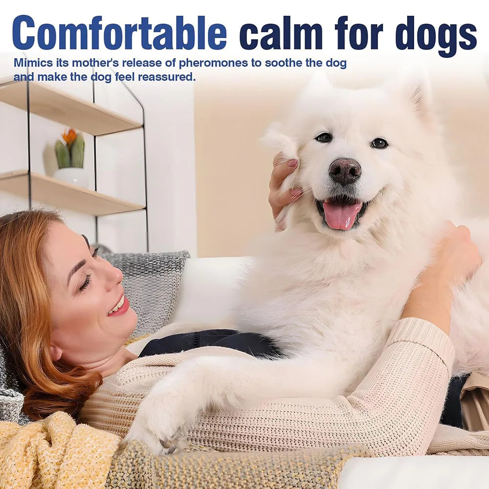 Zhejiang Dog Calming Pheromone Collar For Dogs And Cats