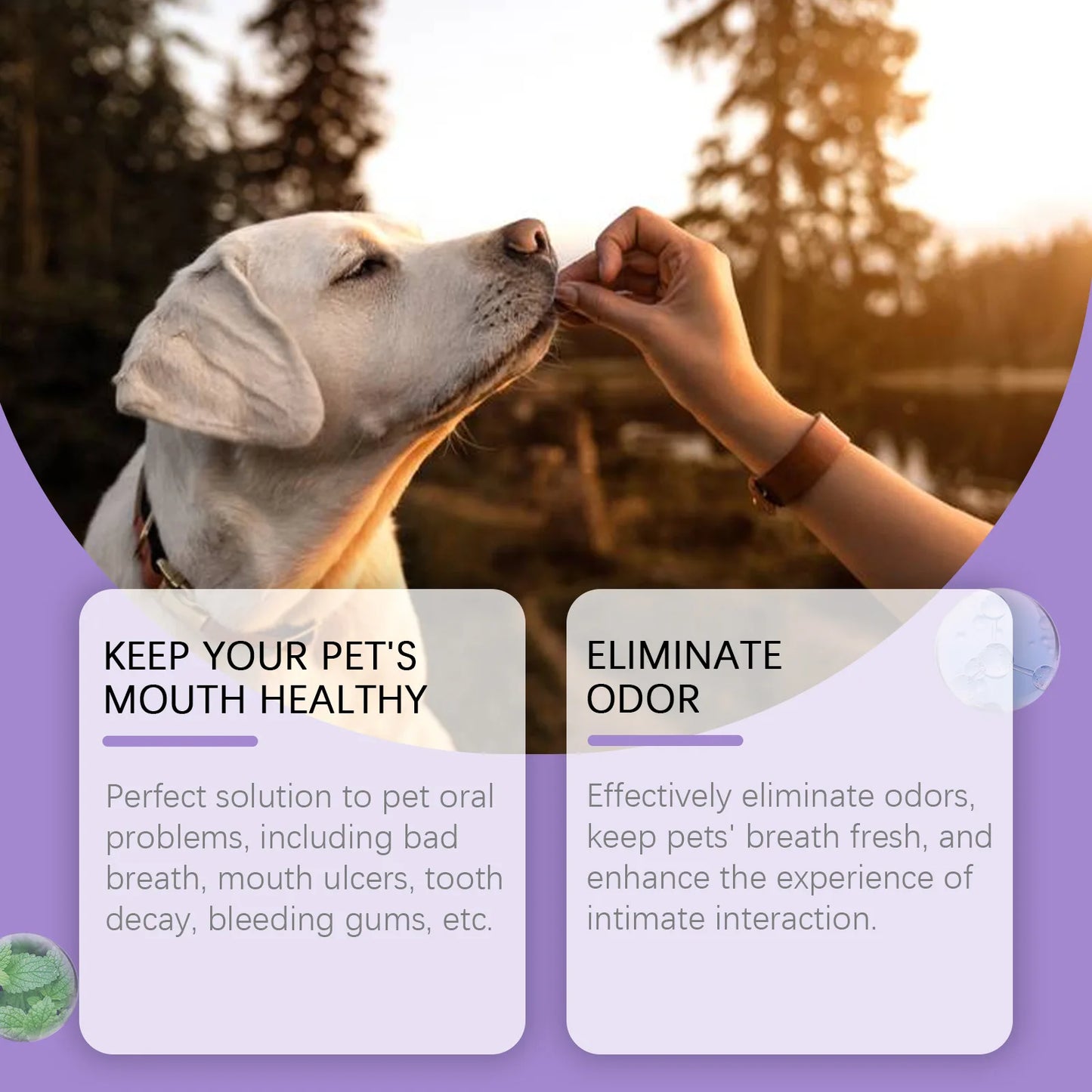 50mlPet Oral Cleanse Spray Dogs Cats Teeth Clean Deodorant Prevent Calculus Remove Kitten Bad Breath Pet Supplies Freshen Breath