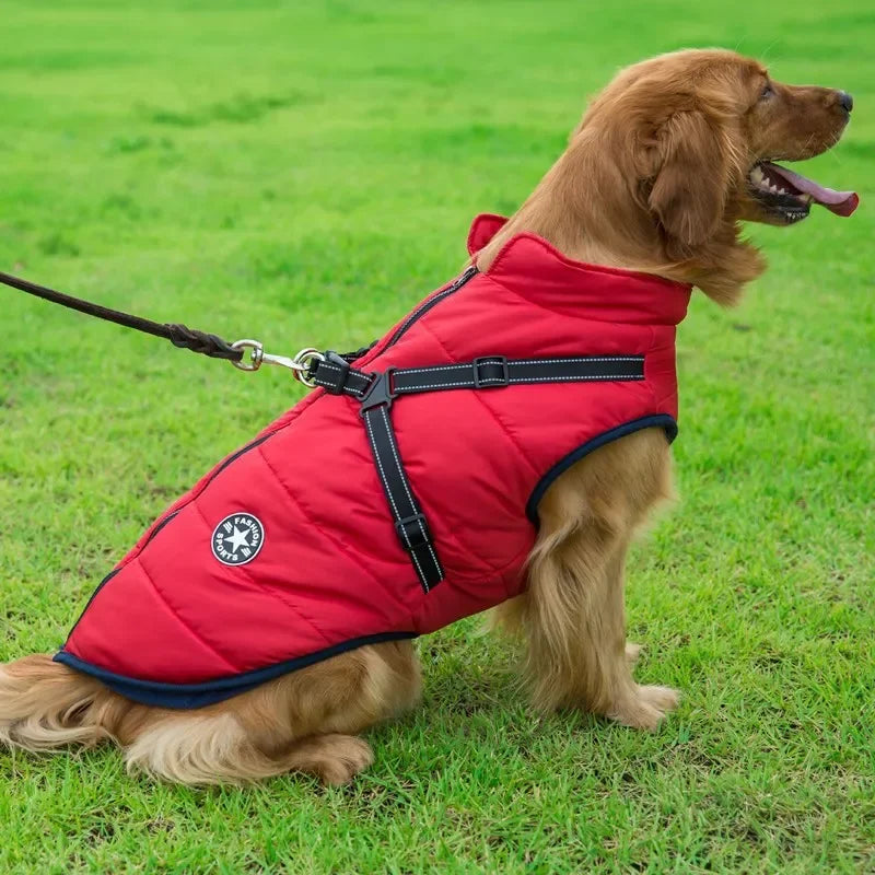 Waterproof Winter Dog Jacket With Harness For Outdoor Use