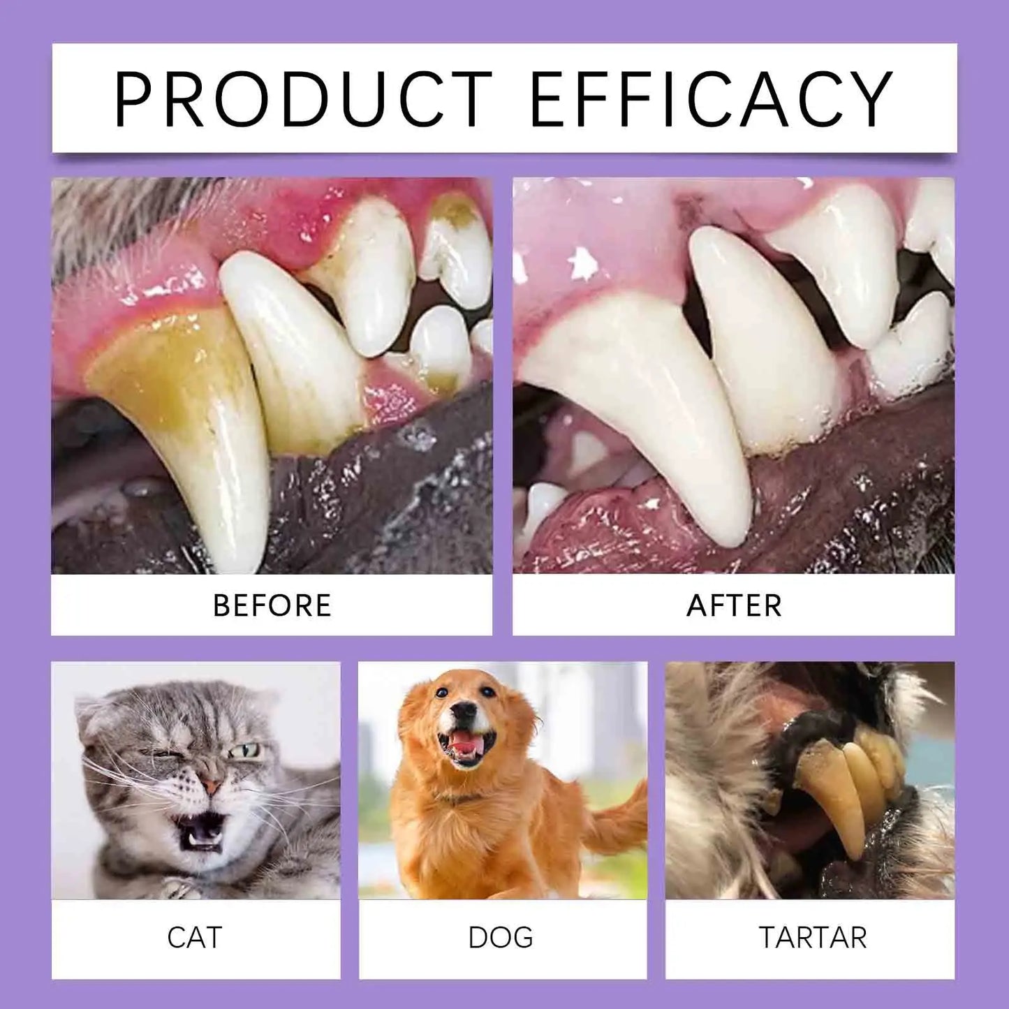 50mlPet Oral Cleanse Spray Dogs Cats Teeth Clean Deodorant Prevent Calculus Remove Kitten Bad Breath Pet Supplies Freshen Breath