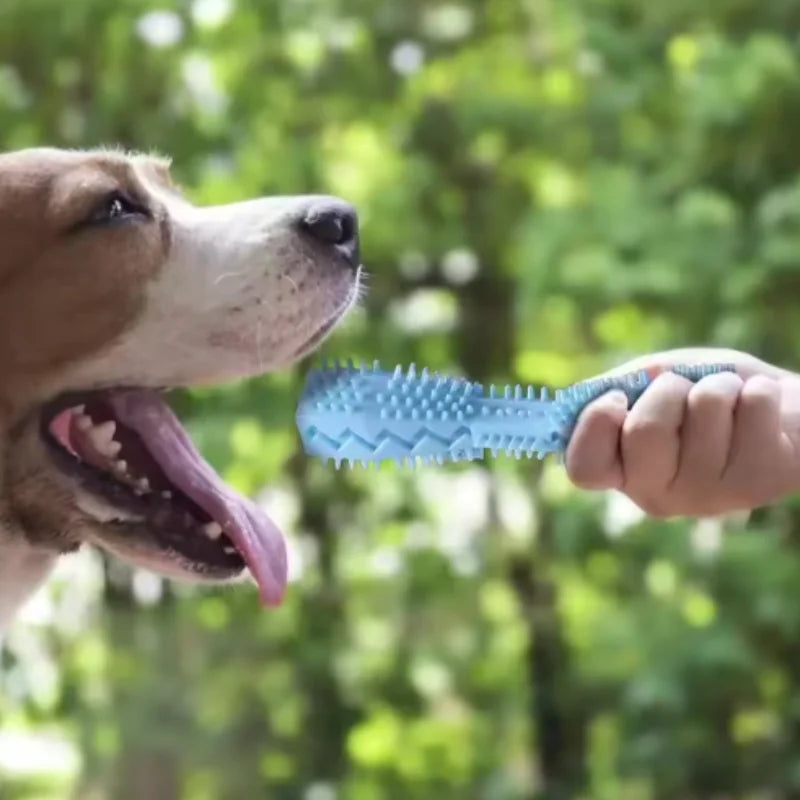 Dog Teething Toy Chew Stick Leak Proof Durable Design