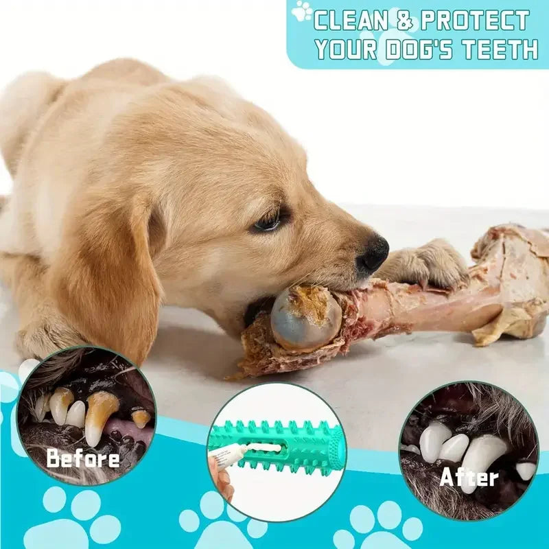Choice Vet Approved Dental Chew for Small and Medium Dogs