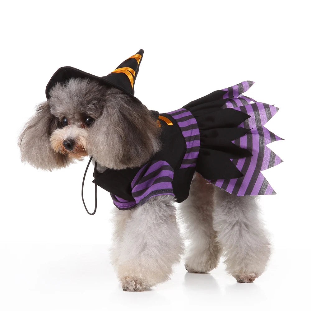 Hign-concerned Chemical Pet Cosplay Pirate Sorcerer Costume
