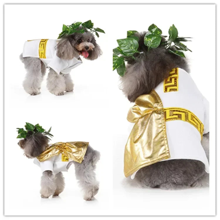Hignconcerned Funny Halloween Pet Cat Clothes Costume