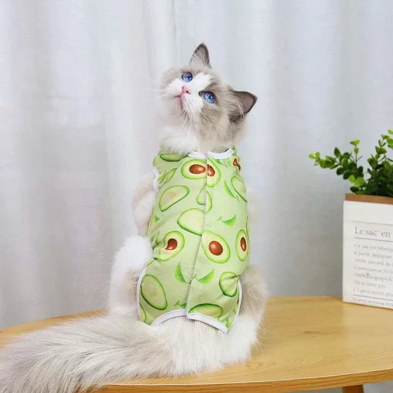 Pet Surgery Recovery Clothes Soft, Safe & Comfortable Healing Wear Now