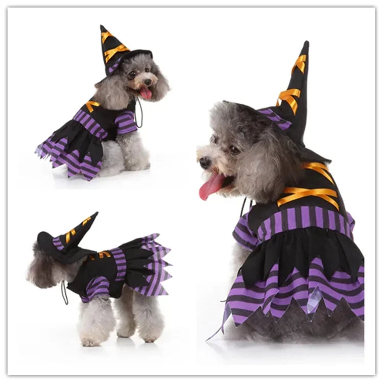 Hignconcerned Funny Halloween Pet Cat Clothes Costume