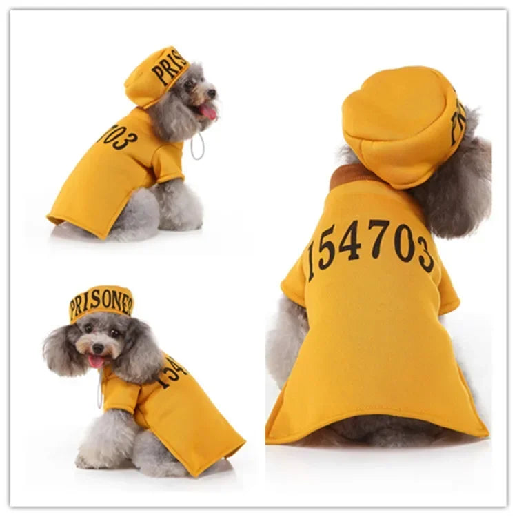 Hignconcerned Funny Halloween Pet Cat Clothes Costume